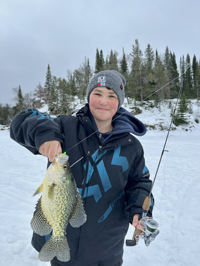 Black Crappie