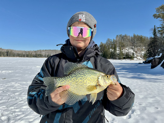 Black Crappie