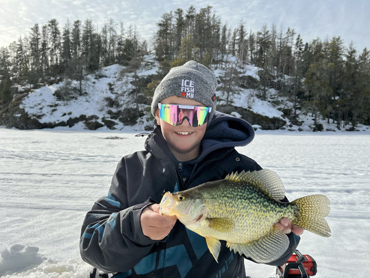 Black Crappie