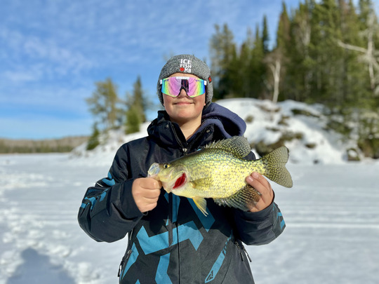 Black Crappie