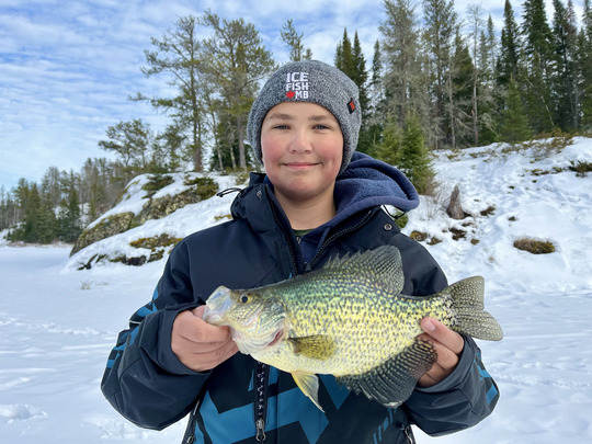 Black Crappie