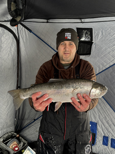Rainbow Trout