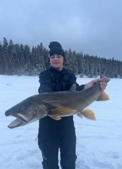 Lake Trout