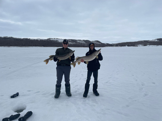 Northern Pike