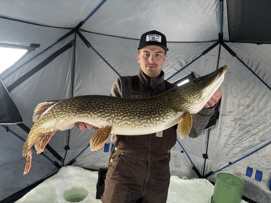 Northern Pike