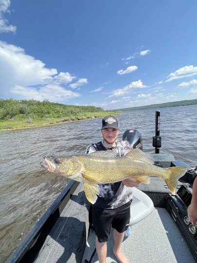 Walleye