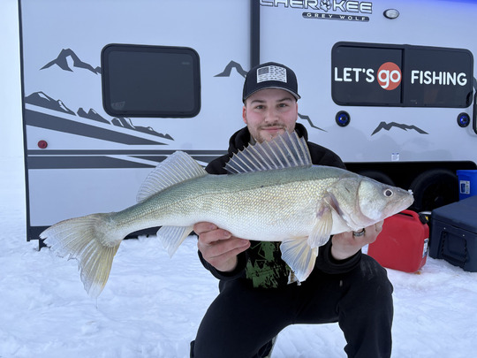 Walleye
