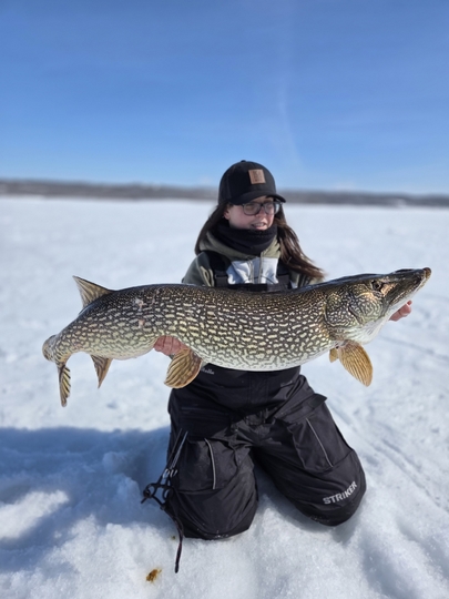 Northern Pike