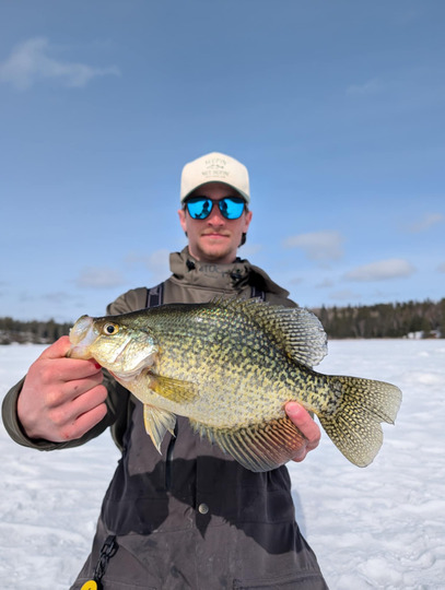 Black Crappie