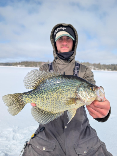Black Crappie