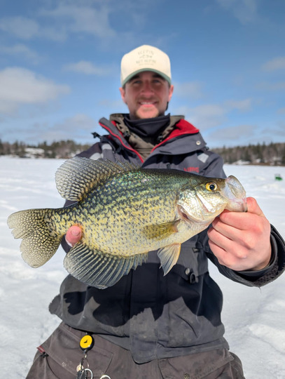 Black Crappie