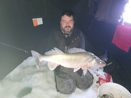 Walleye