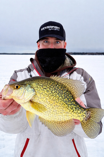Black Crappie