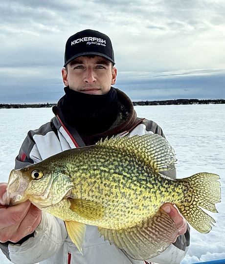 Black Crappie