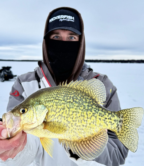 Black Crappie