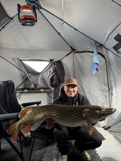 Northern Pike
