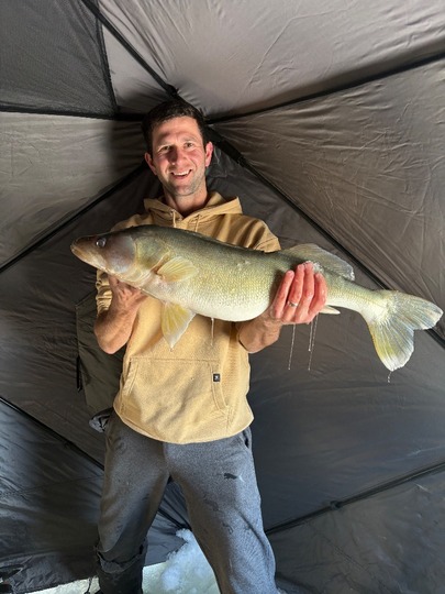 Walleye