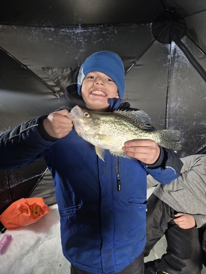 Black Crappie