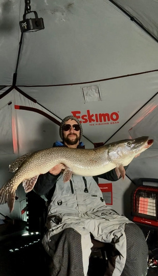 Northern Pike