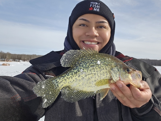 Black Crappie
