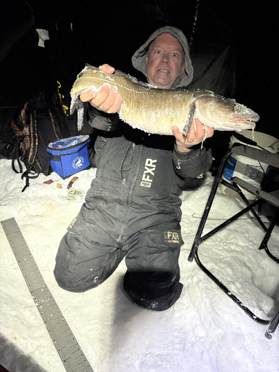 Burbot
