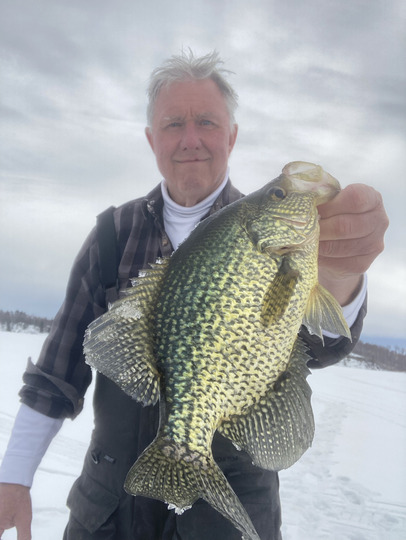 Black Crappie