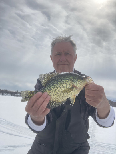 Black Crappie