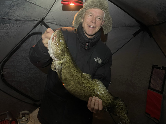 Burbot