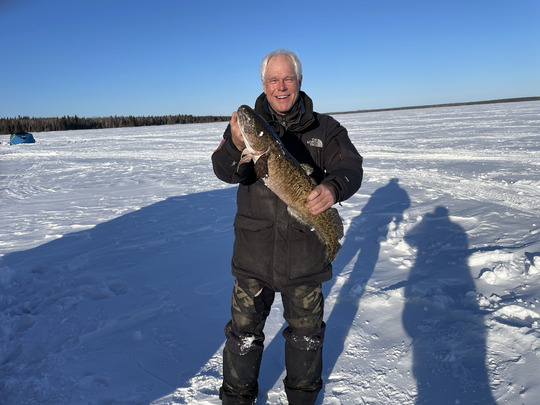 Burbot