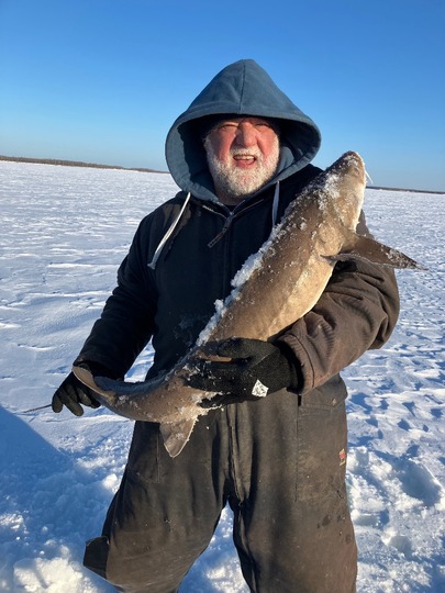 Lake Sturgeon
