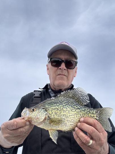 Black Crappie