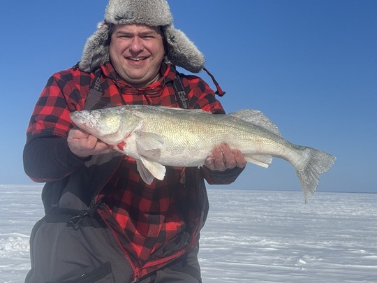 Walleye