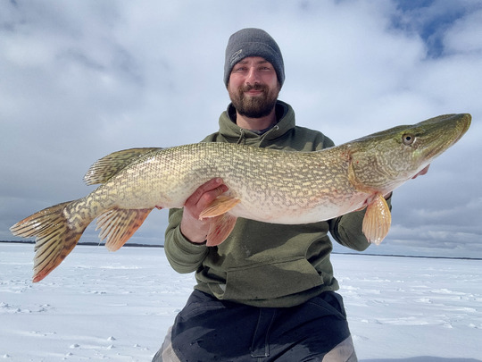 Northern Pike