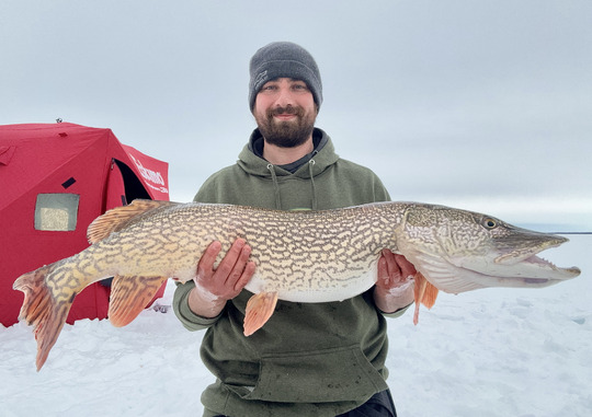 Northern Pike
