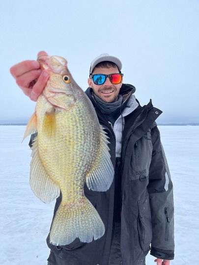 Black Crappie