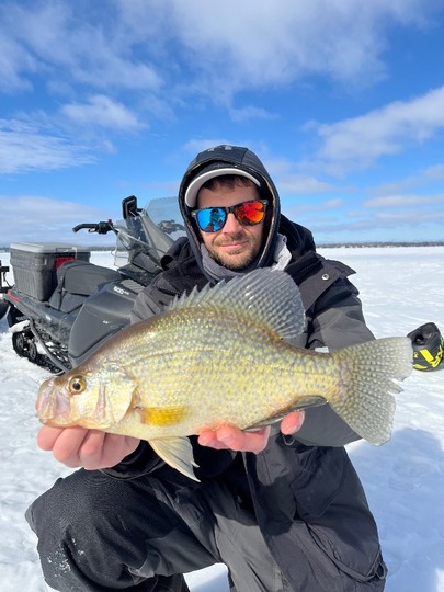Black Crappie