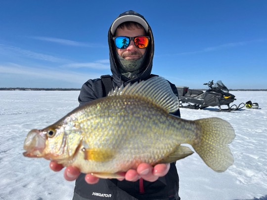 Black Crappie