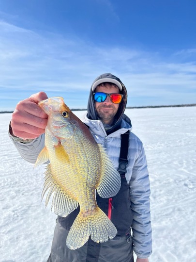 Black Crappie