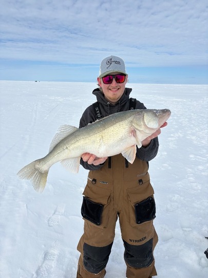 Walleye