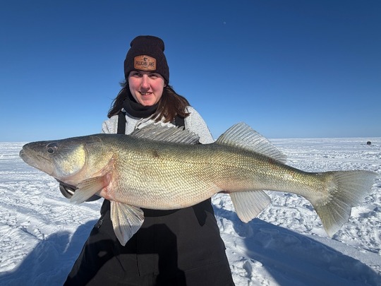 Walleye