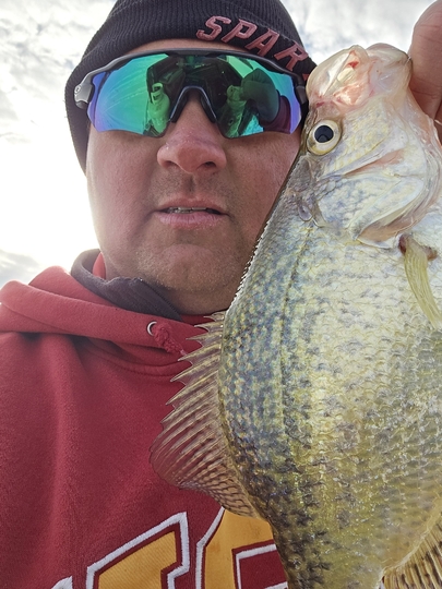 Black Crappie