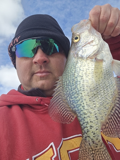 Black Crappie