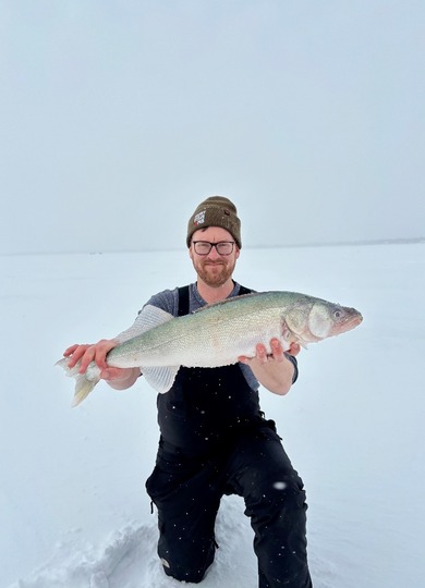 Walleye