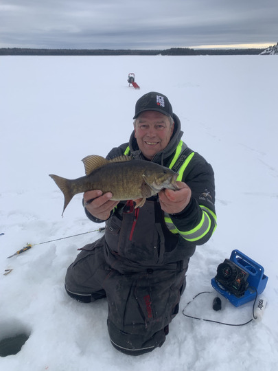 Smallmouth Bass