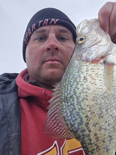 Black Crappie