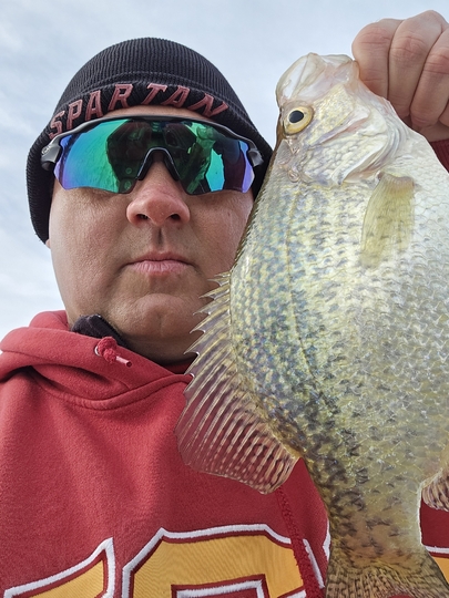 Black Crappie