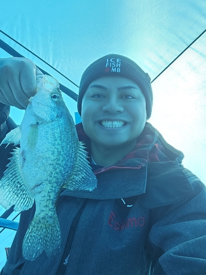 Black Crappie