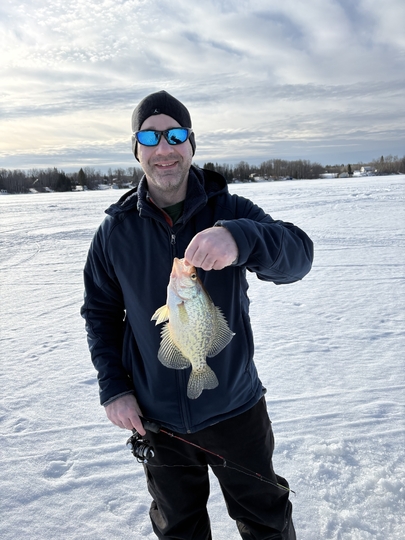 Black Crappie