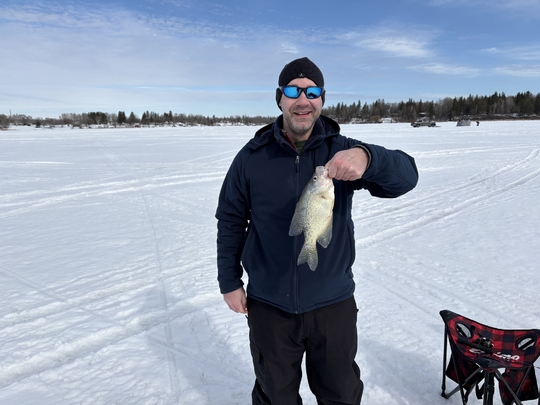Black Crappie