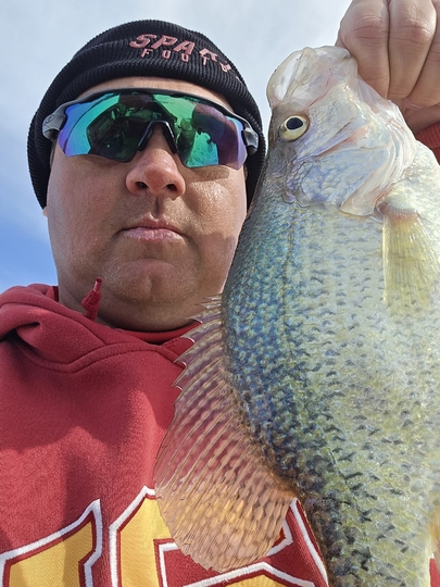Black Crappie
